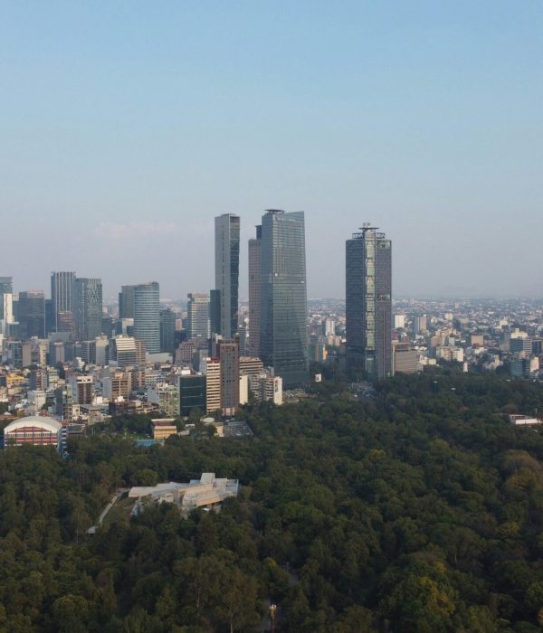 Bosque Chapultepec